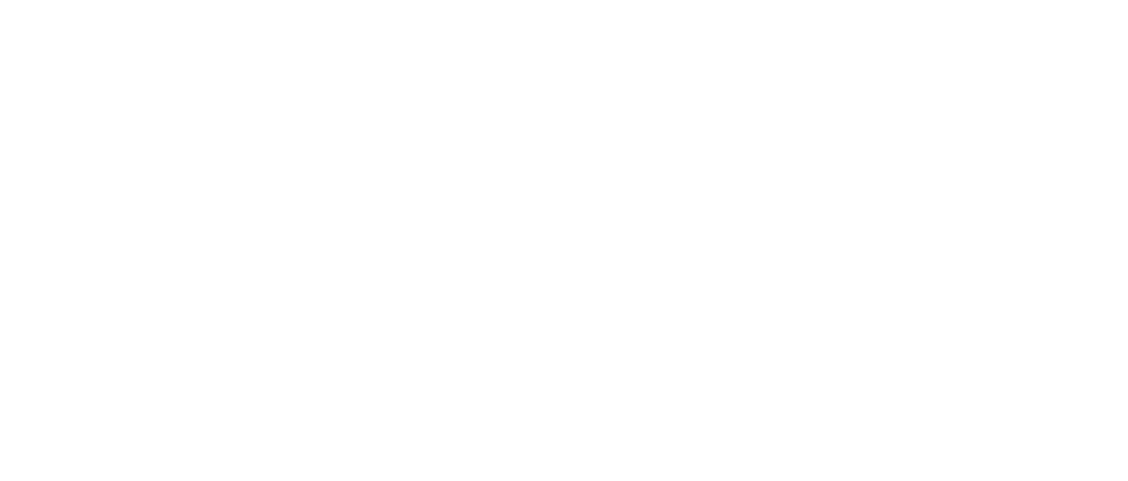 Radnaq automotive-branco-01
